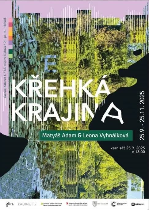 Křehká krajina — plakát